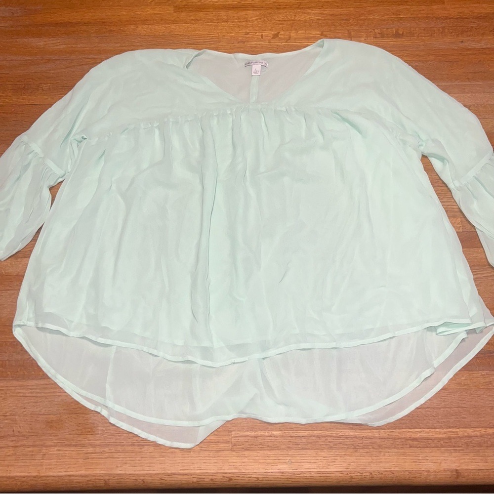 Cato Women Large Mint Green Sheer Ruffle Chiffon V-Neck‎ Long Sleeve Blouse